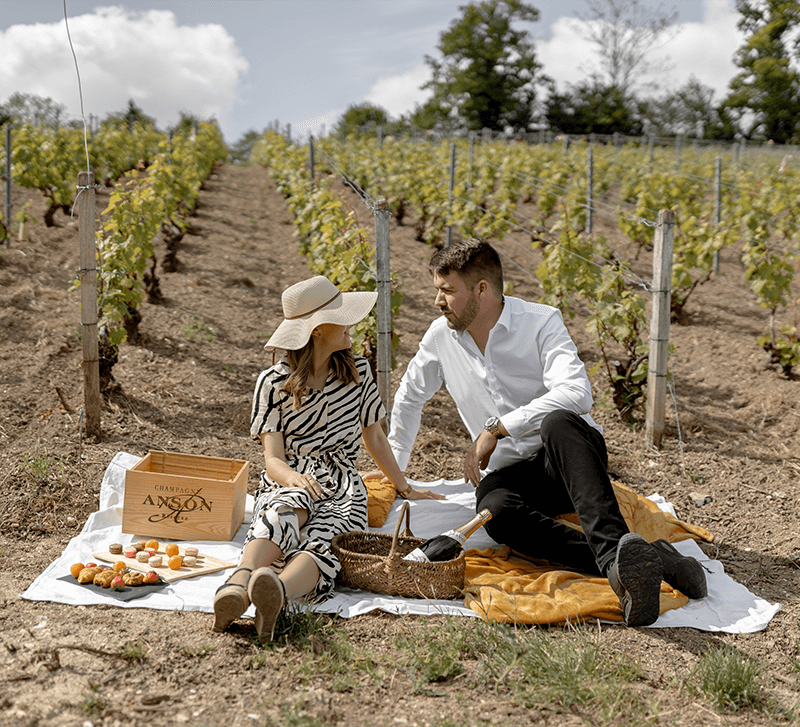 Éclat Wine tour Service